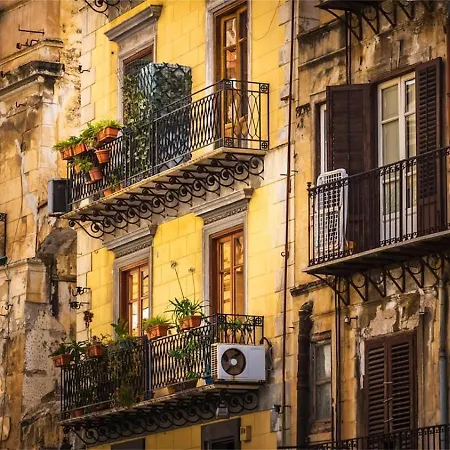 Suitt Drims 8 Palermo